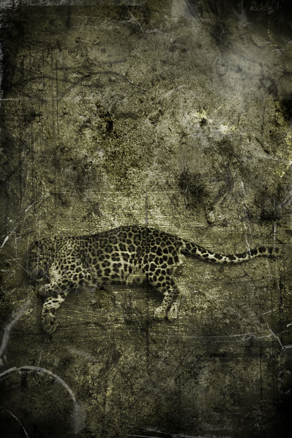 Adjustment mechanism#9,pigment print,50.8x60.96cm,2012