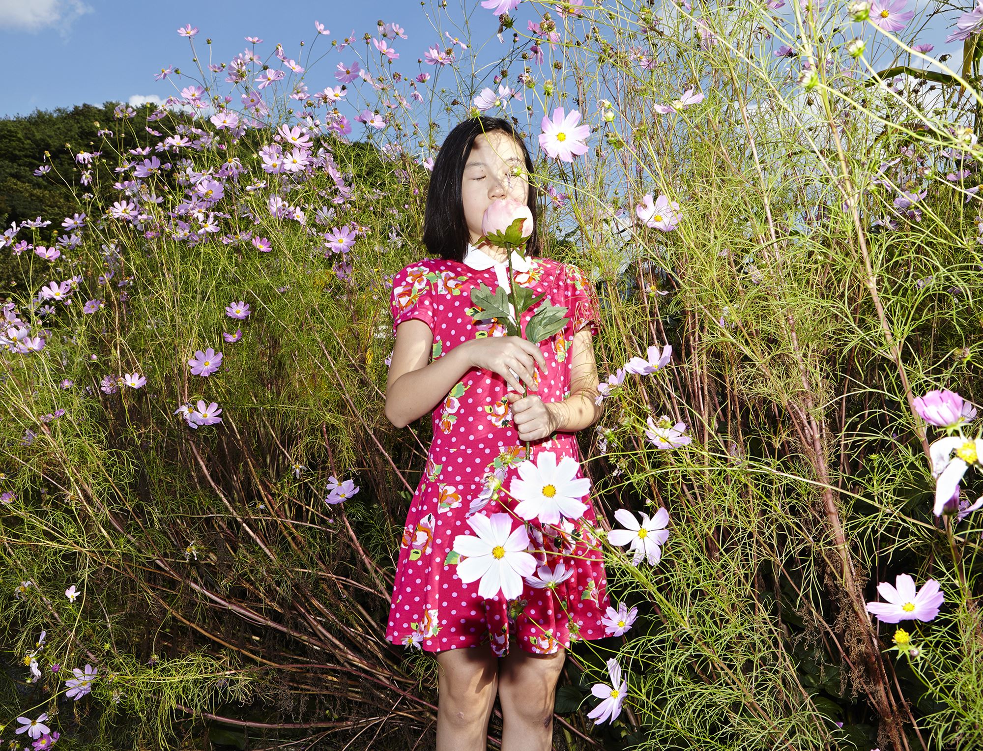 plastic tears 01, c-print, variable size, 2015