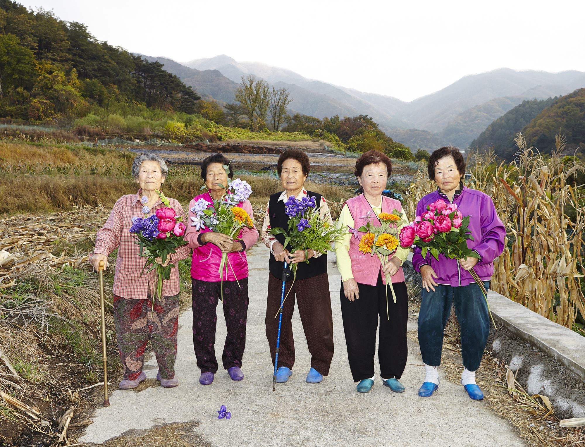 plastic tears 02, c-print, variable size, 2015