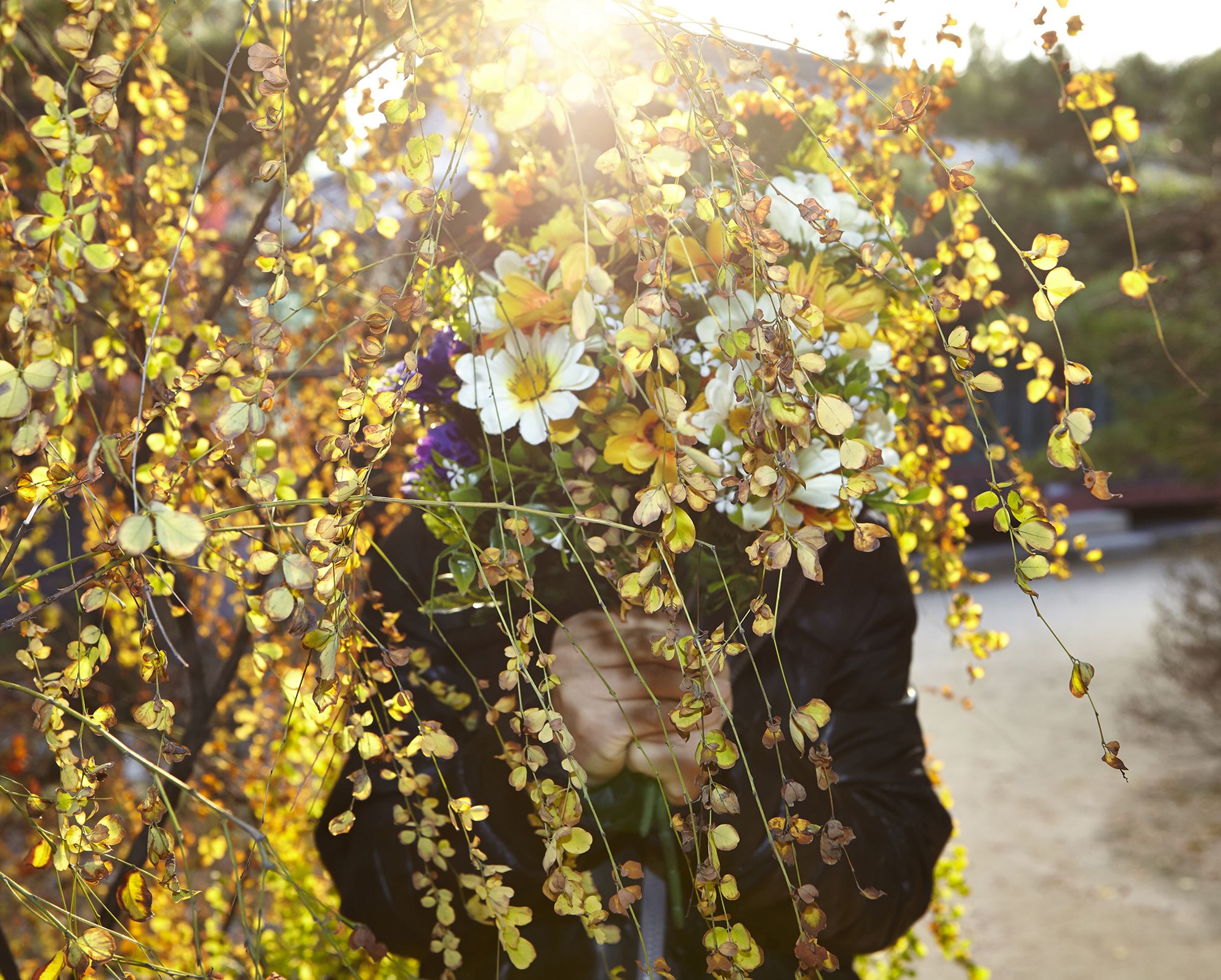 plastic tears 10, c-print, variable size, 2015