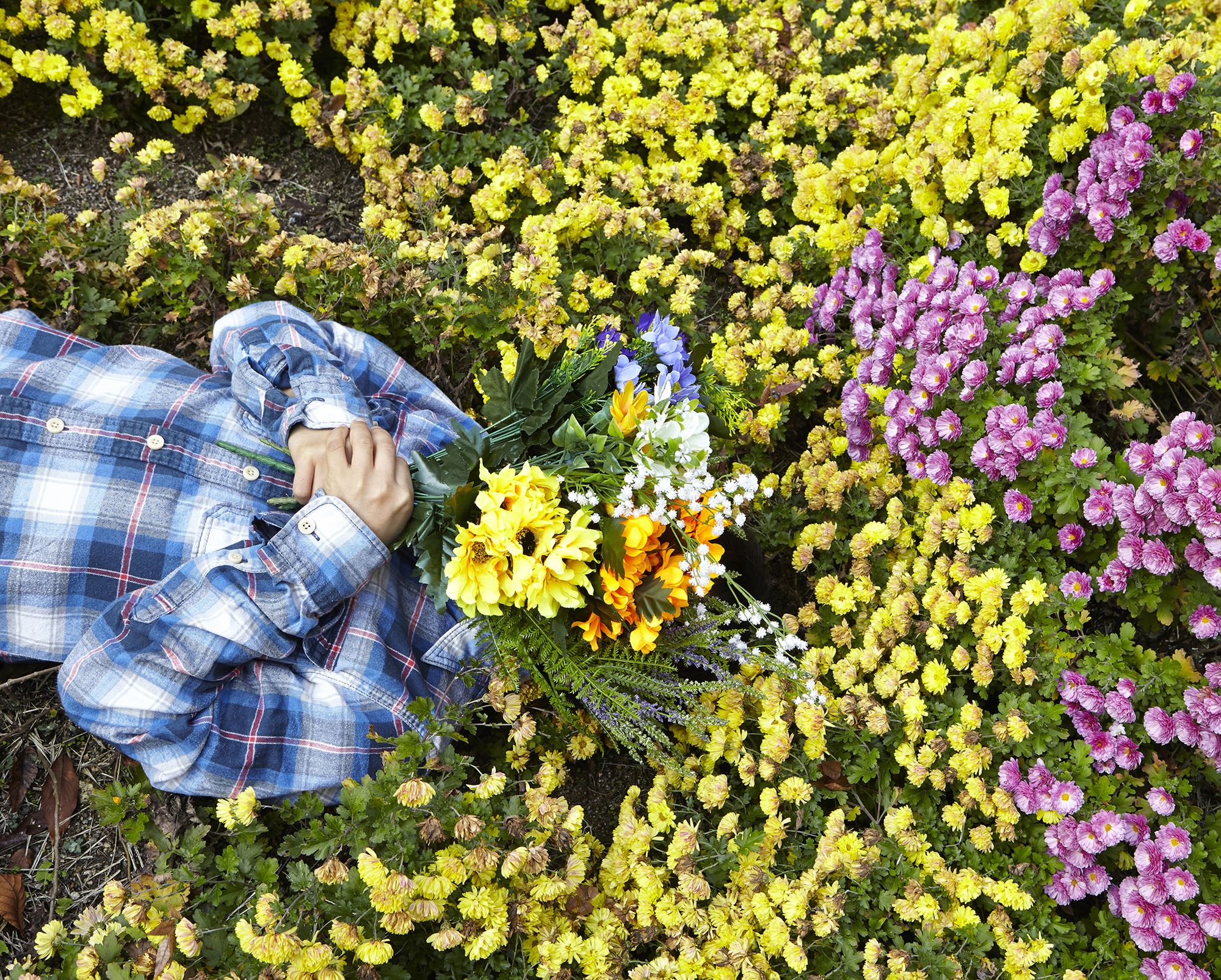 plastic tears 11, c-print, variable size, 2015