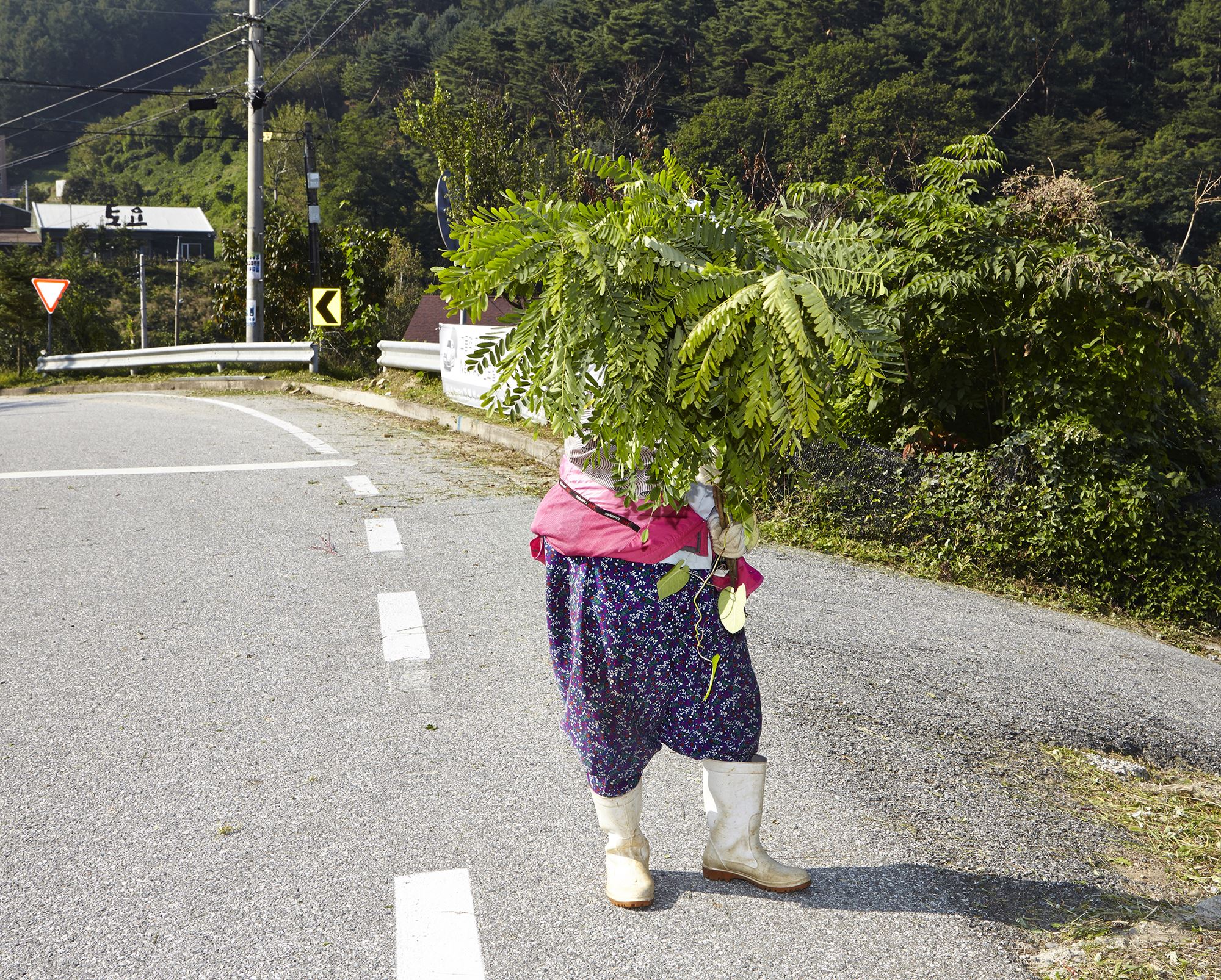 plastic tears 12, c-print, variable size, 2015