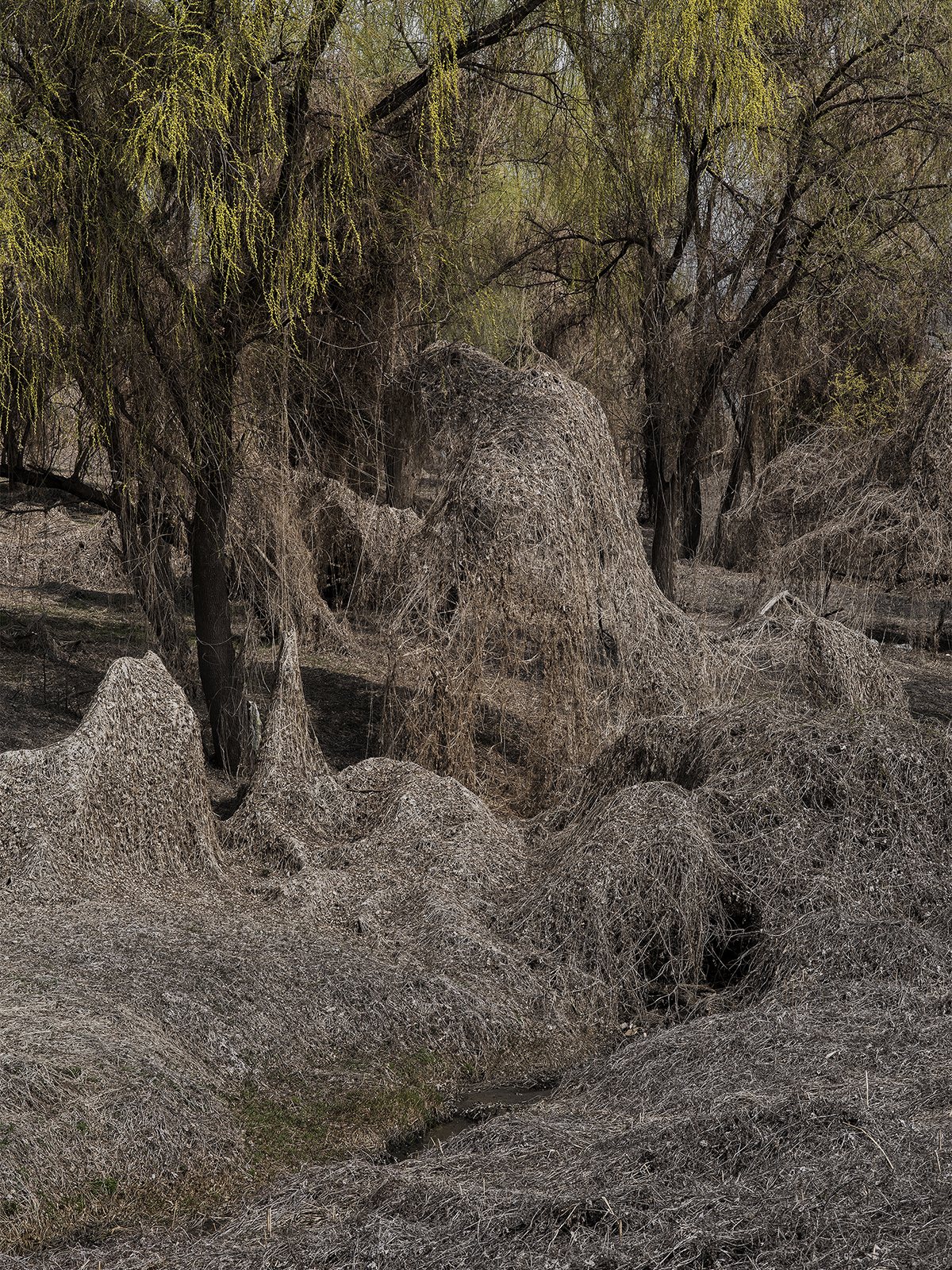 네가 봄이런가 #8, 아카이벌피그먼트프린트, 144x108cm, 2017