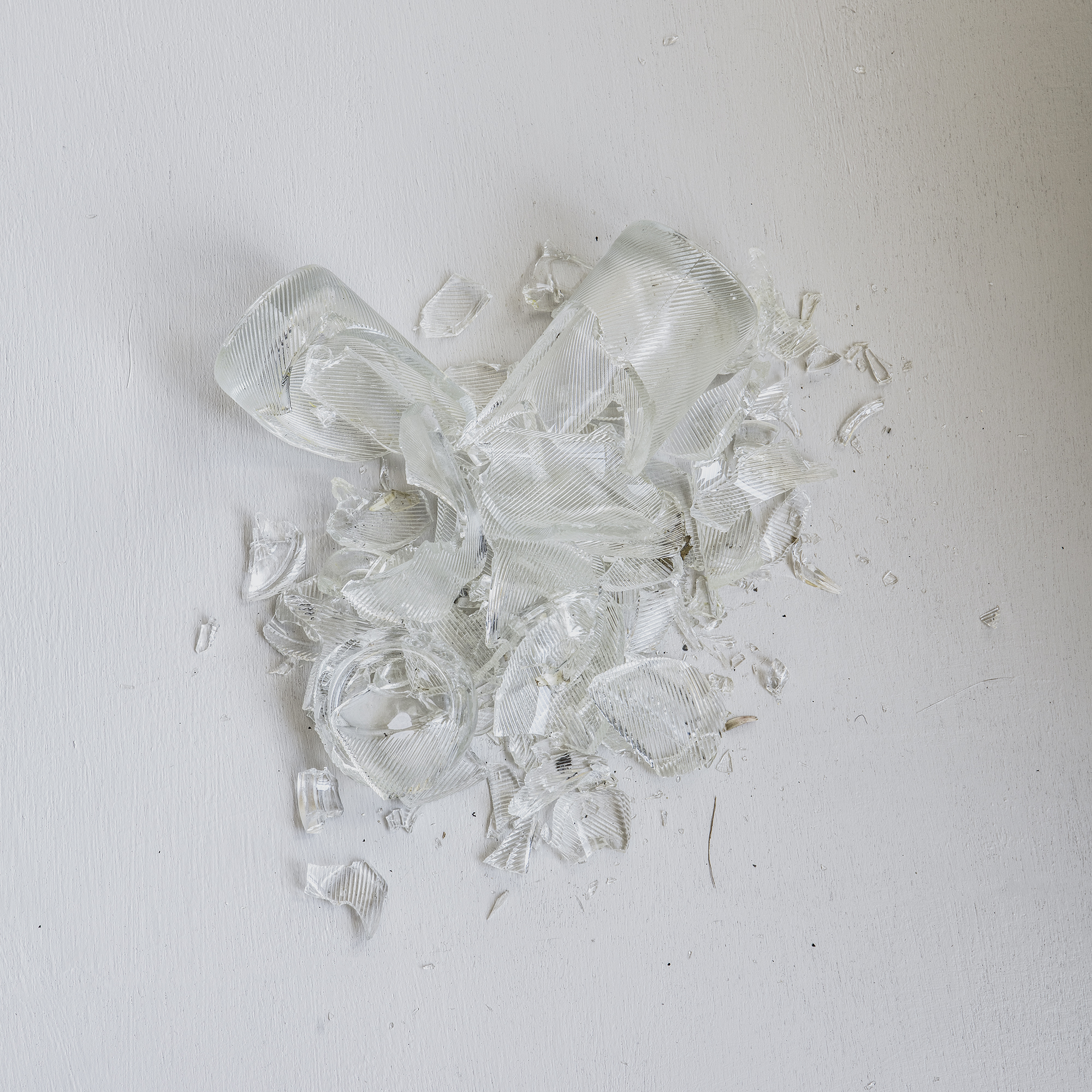 Colon #01-1, dimensions variable, 2017