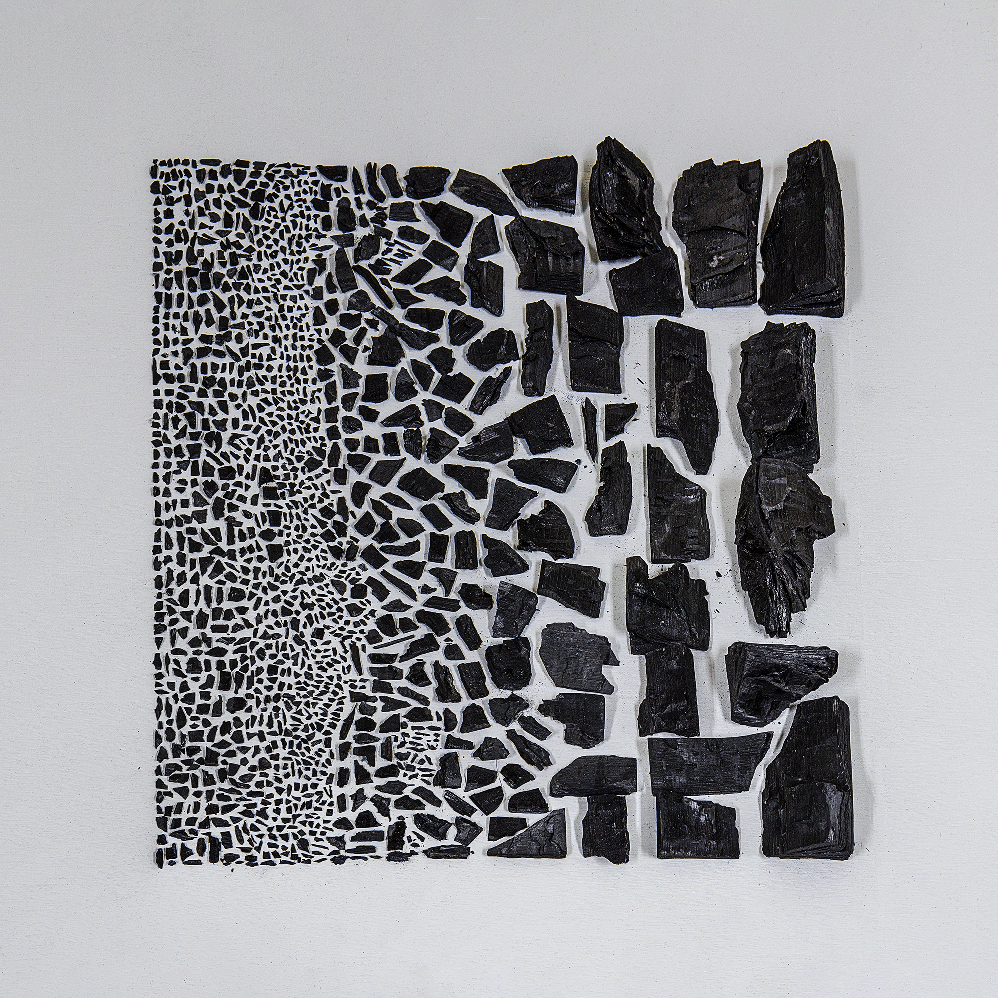 Colon #02-2, dimensions variable, 2017