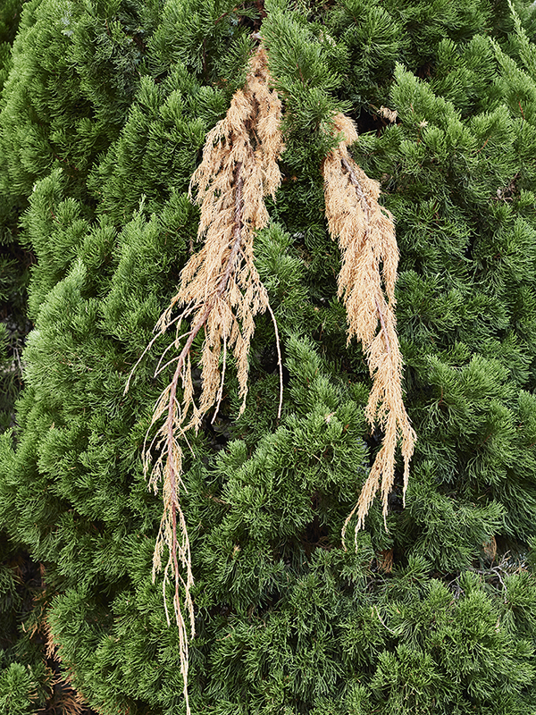 Drifting_03, Digital Pigment Print, 70x54cm, 2018