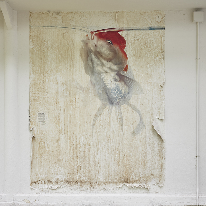 Drifting_14, Digital Pigment Print, 50x50cm, 2017