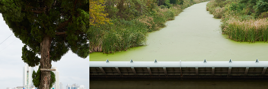 Elegant Town_10, Digital Pigment Print, 35x95cm, 2015