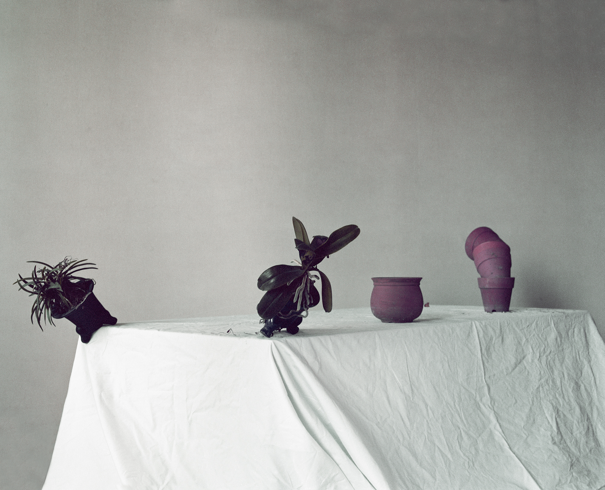 Restless Heart Syndrome #001, 123x100cm, Pigment Print, 2009