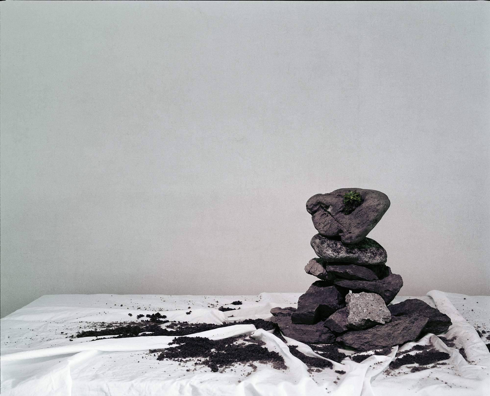 Restless Heart Syndrome #013, 123x100cm, Pigment Print, 2009