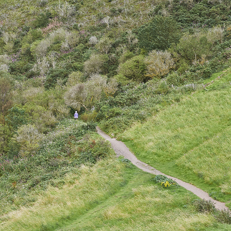 Suspended Landscape_01, Digital Pigment Print, 100x100cm, 2011