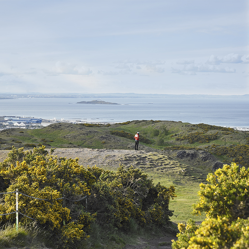 Suspended Landscape_06, Digital Pigment Print, 100x100cm, 2011