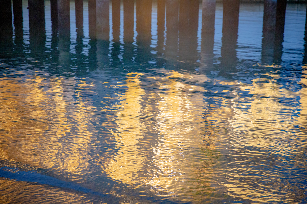 김단비|빛의 온도