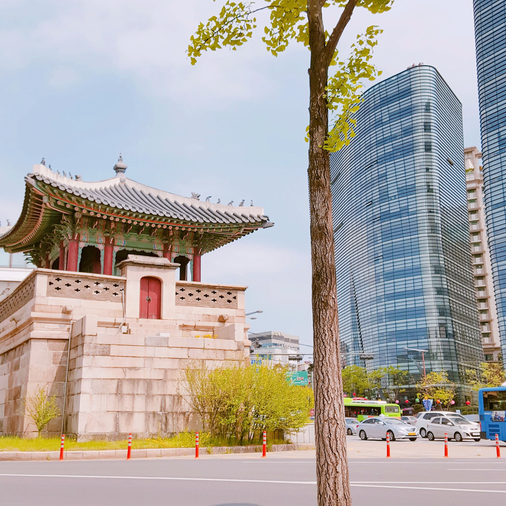 박세연|1.5MB 속 역사