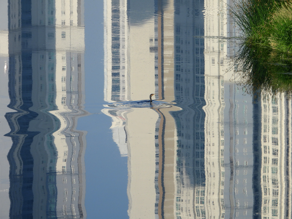 안준용|다르게 보기, 새롭게 연결하기