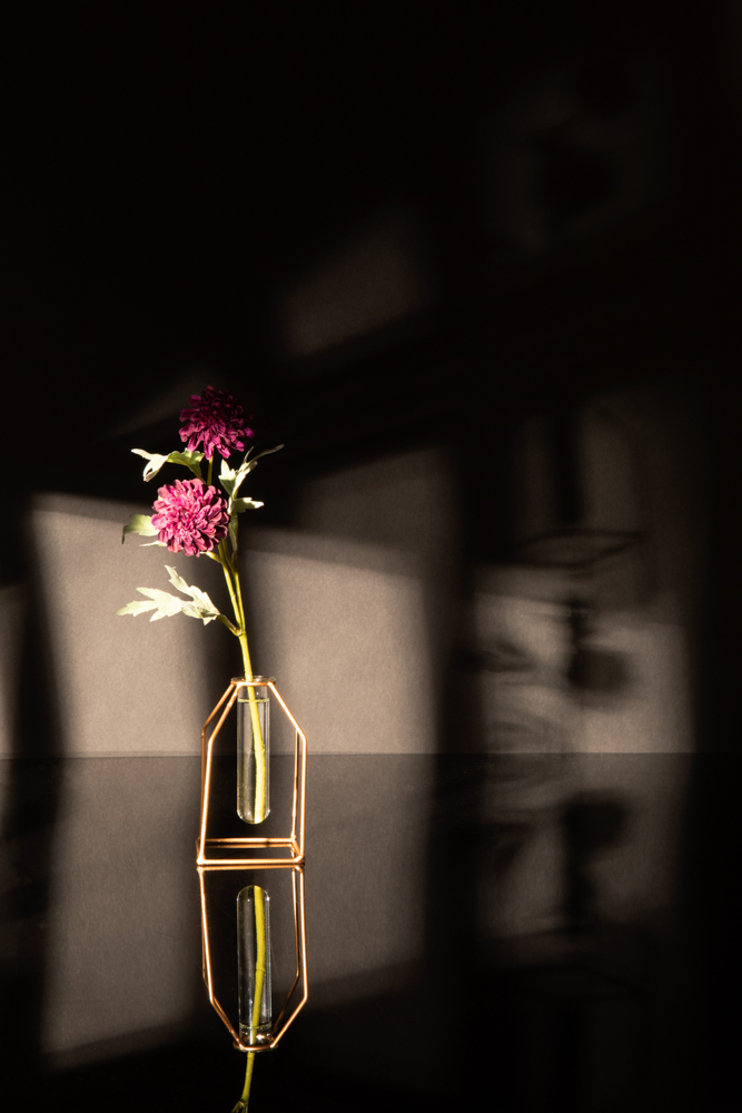 이세린|갇히다, 가치다