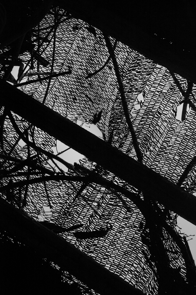 이재서|눈을 뜨면 비로소 보이는 것들