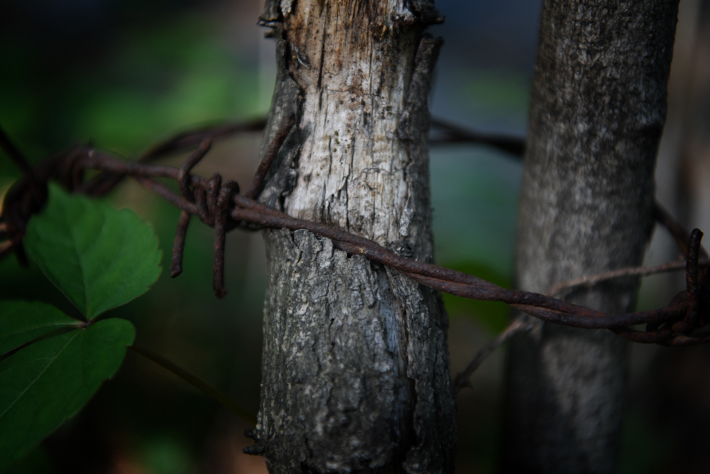 이찬희(양구고)|군대가기 싫어