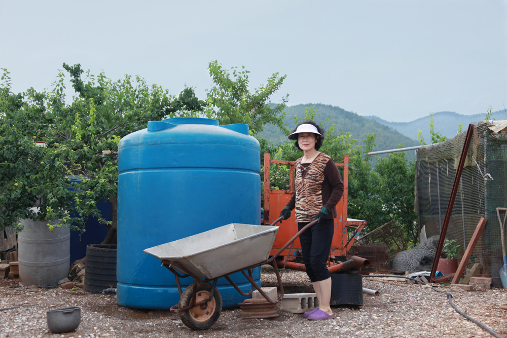 장윤아|용담, 슬픈 그대가 좋아