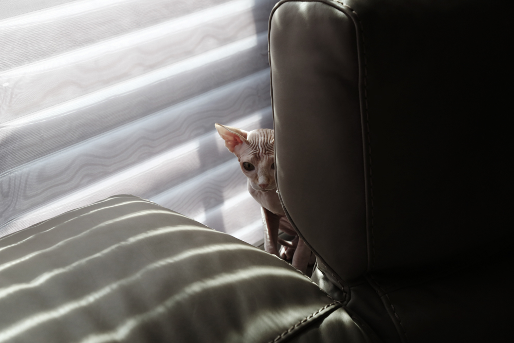 장혜원|나에게 용기를