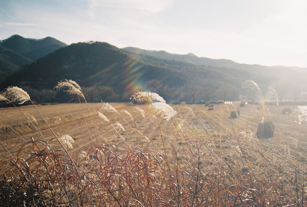 최상일|인생이란