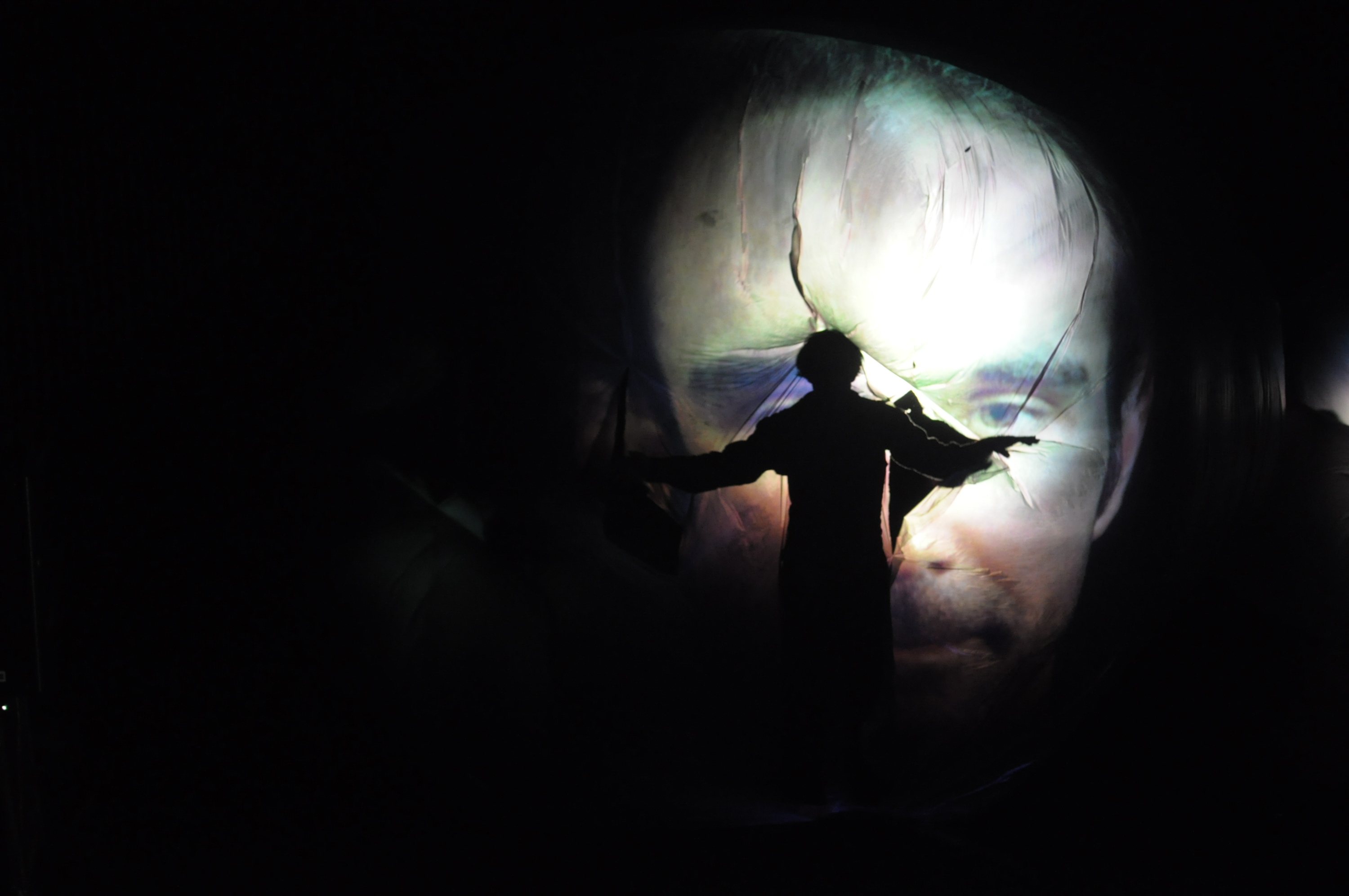 Private Collection, 장소 특정형 미디어 퍼포먼스, 가변크기, 2010