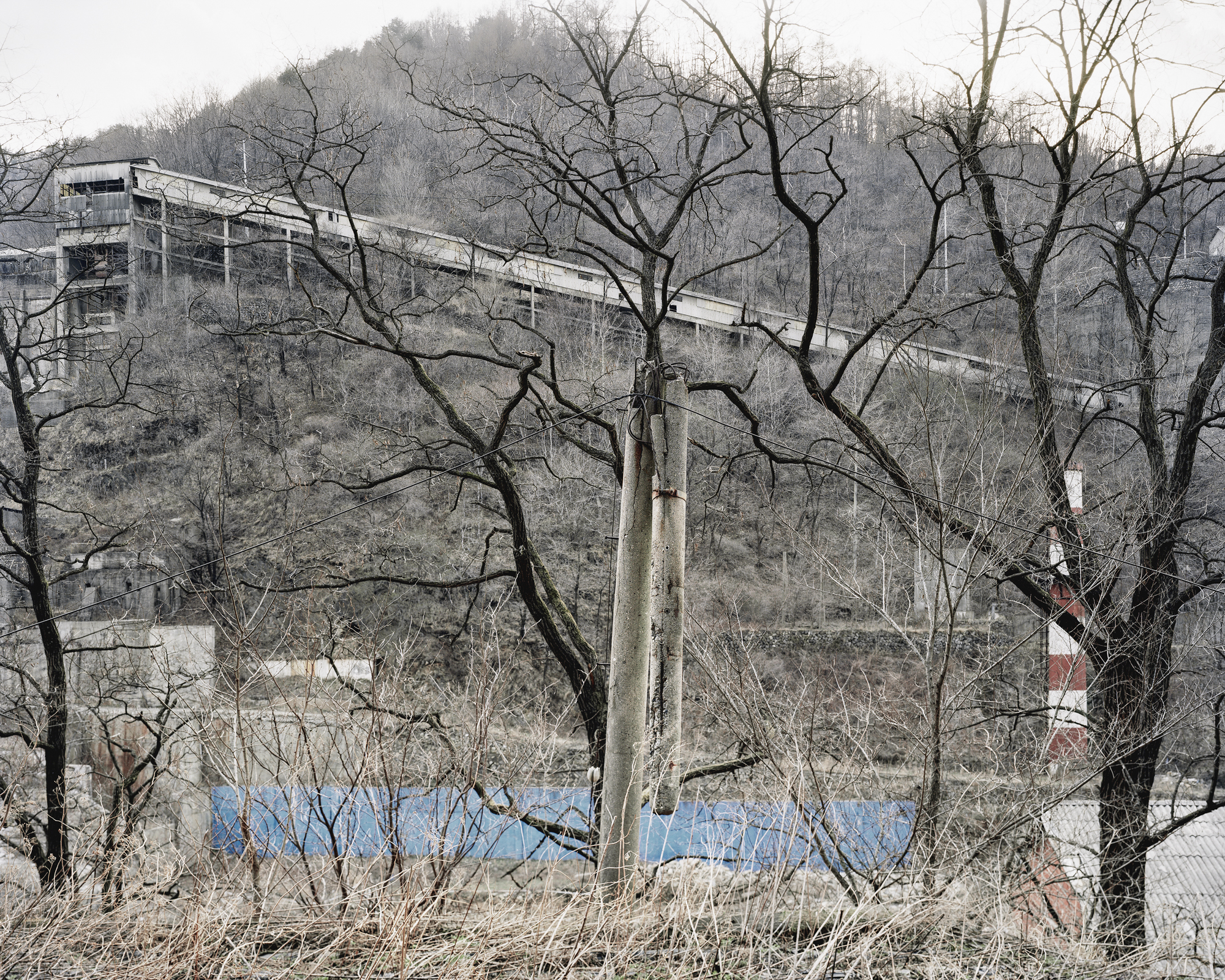 미래의 땅 - #06_pigment print 100x125 2013