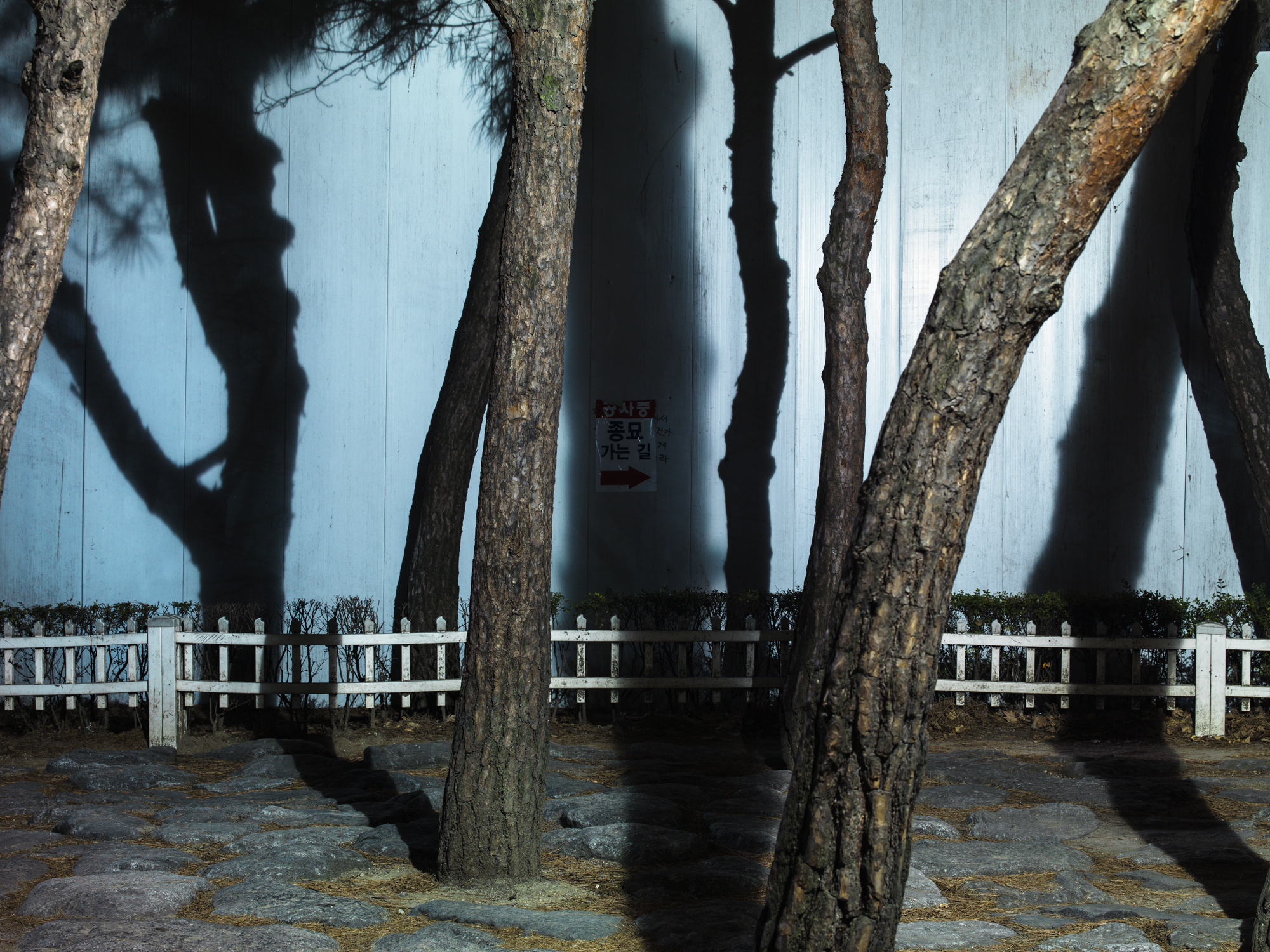 통로- #16 ultrachrome archival pigment print 125x160 2014