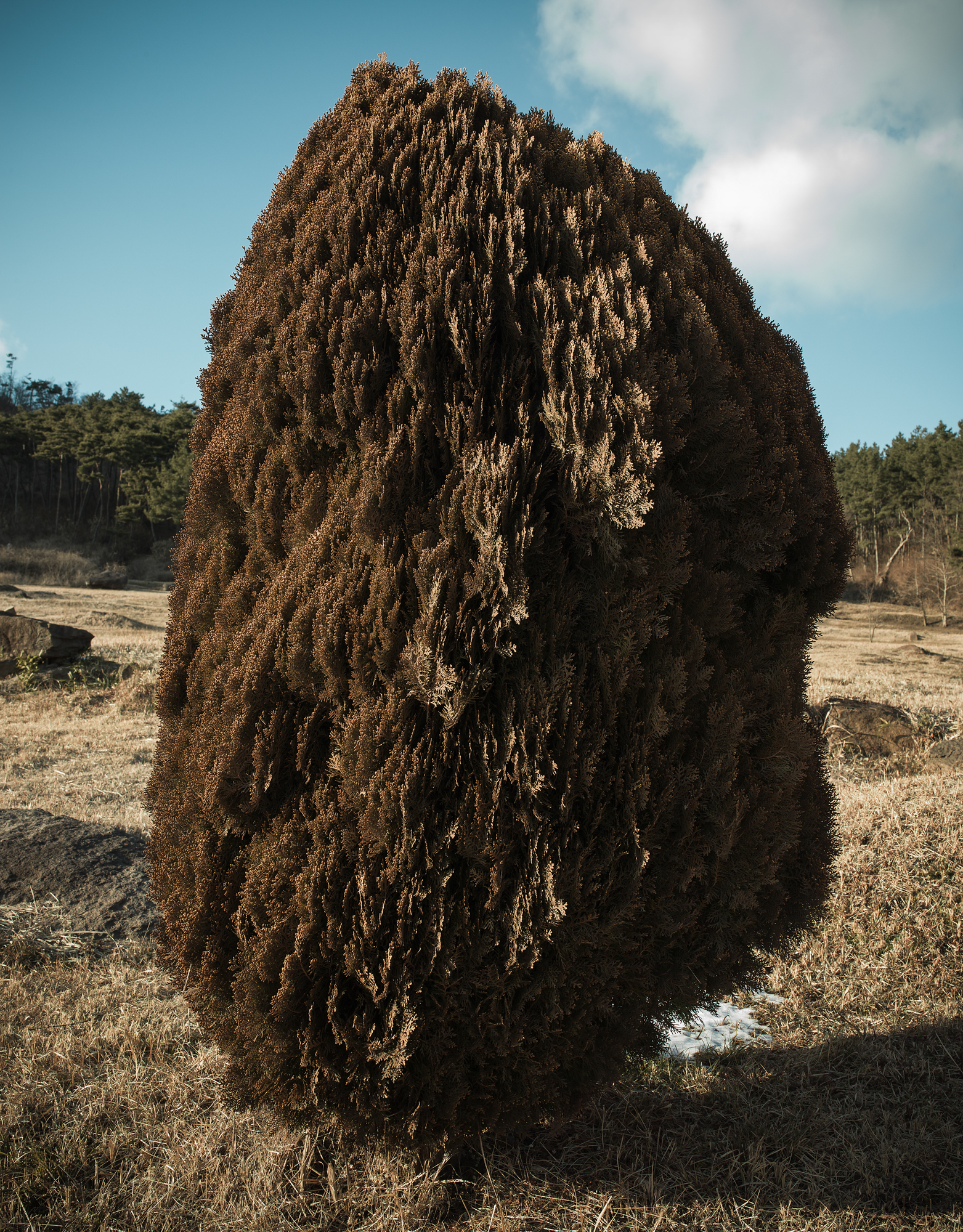 풍경 #01- ultrachrome archival pigment print 150x180 2017