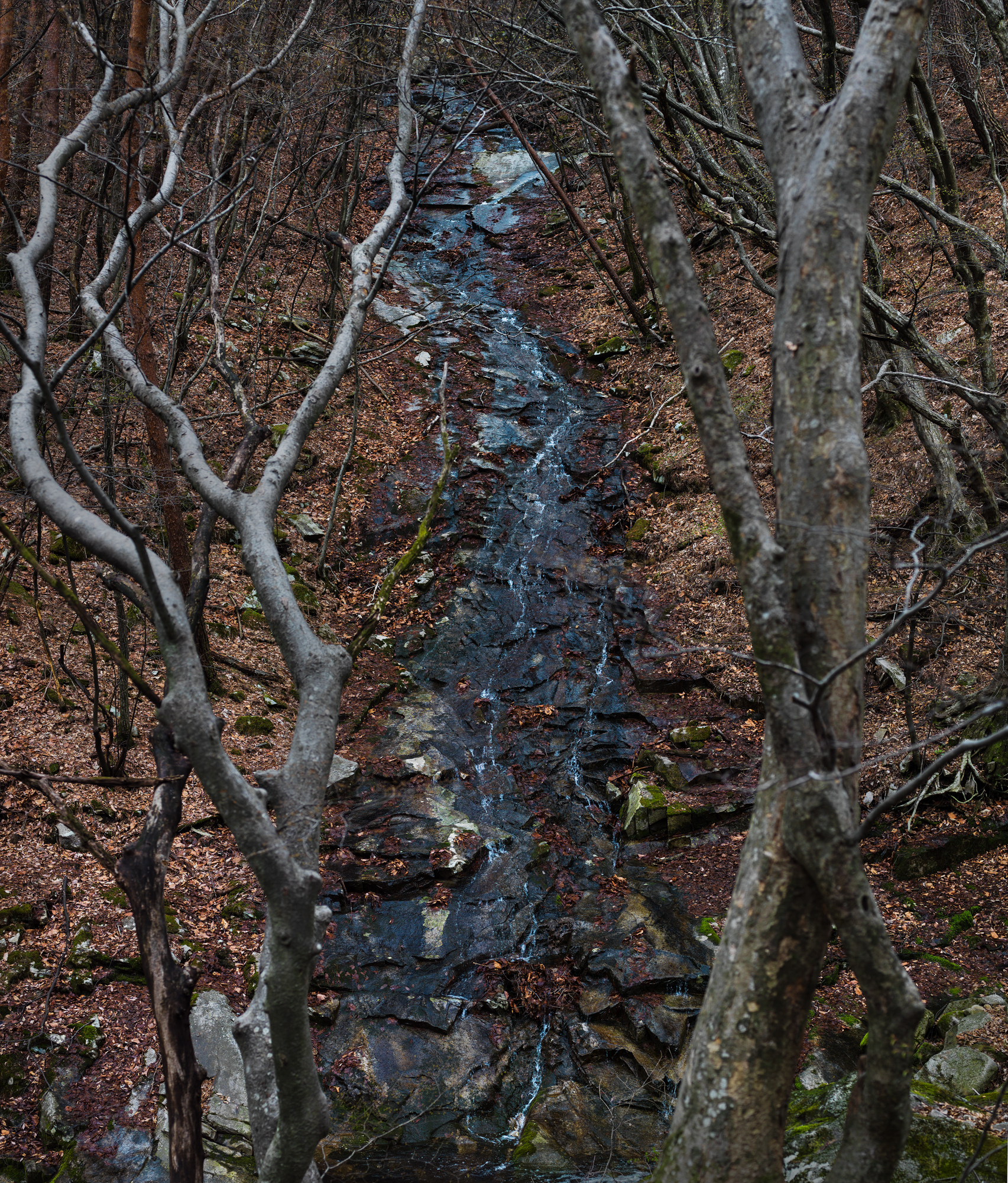 풍경- #02 pigment print 185x155 2017