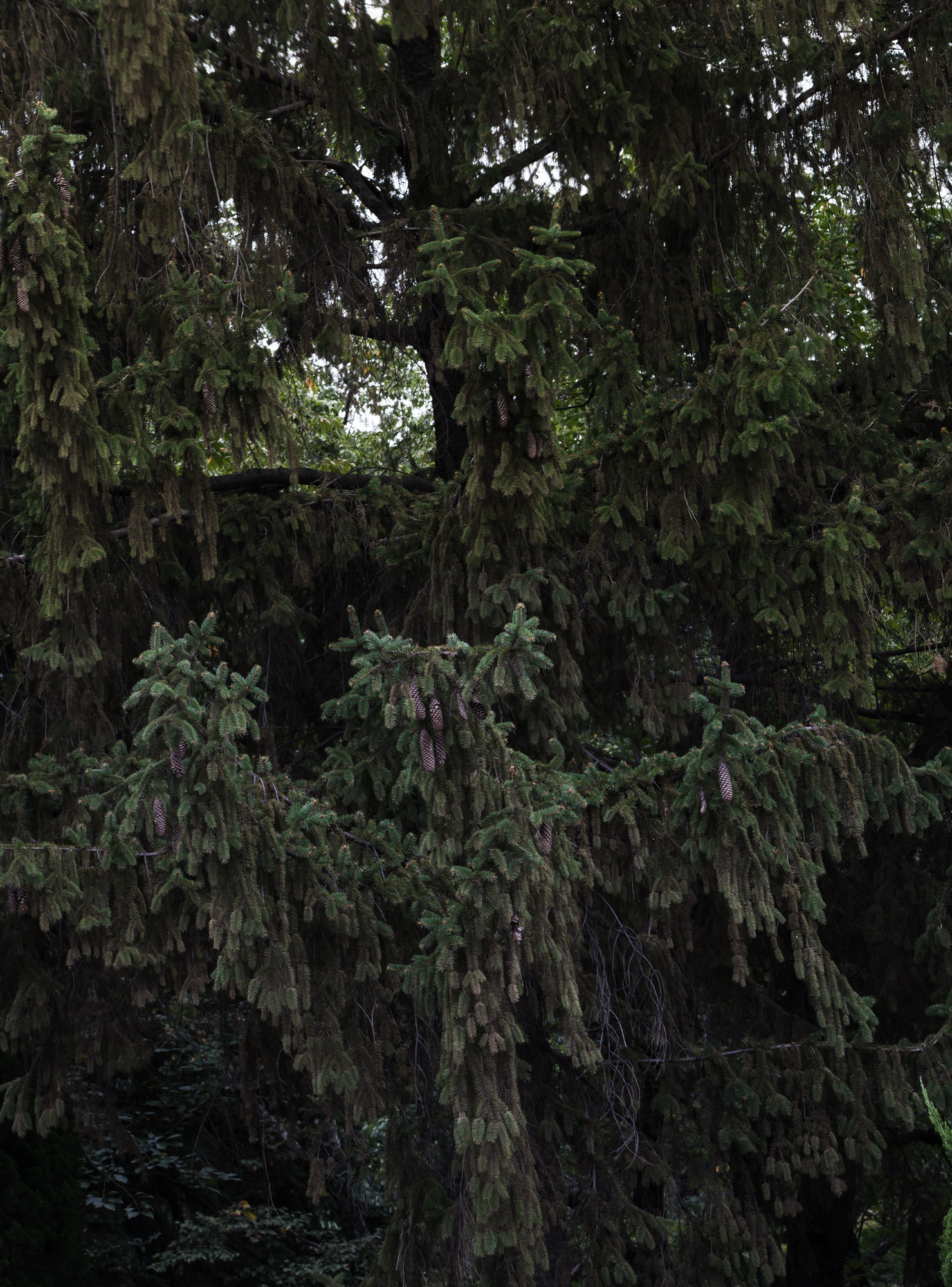 풍경- #04 pigment print 35x19 2017