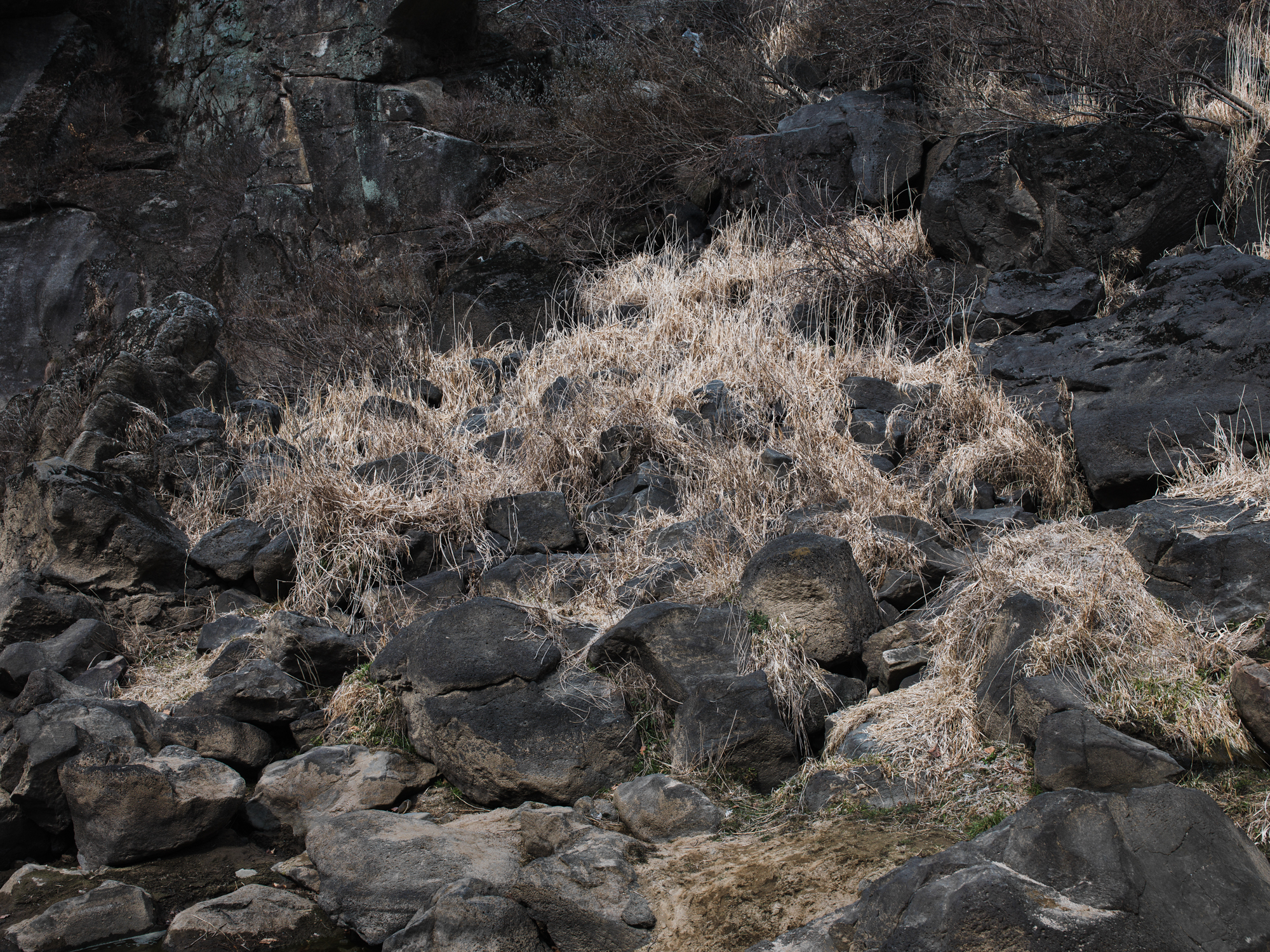 풍경- #05 pigment print 100x135 2017