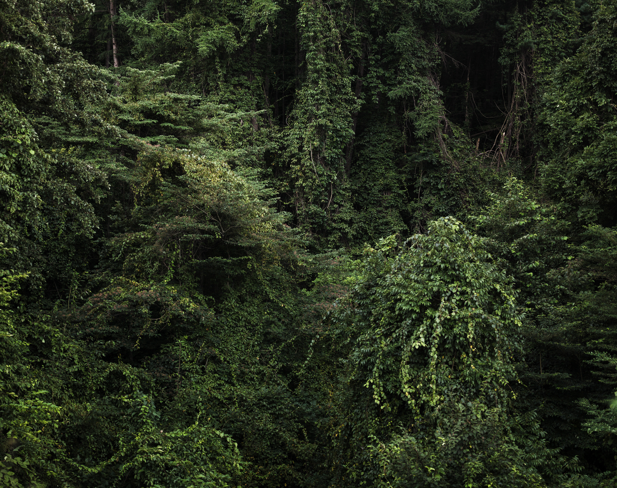 풍경- #09 pigment print 125x160 2017