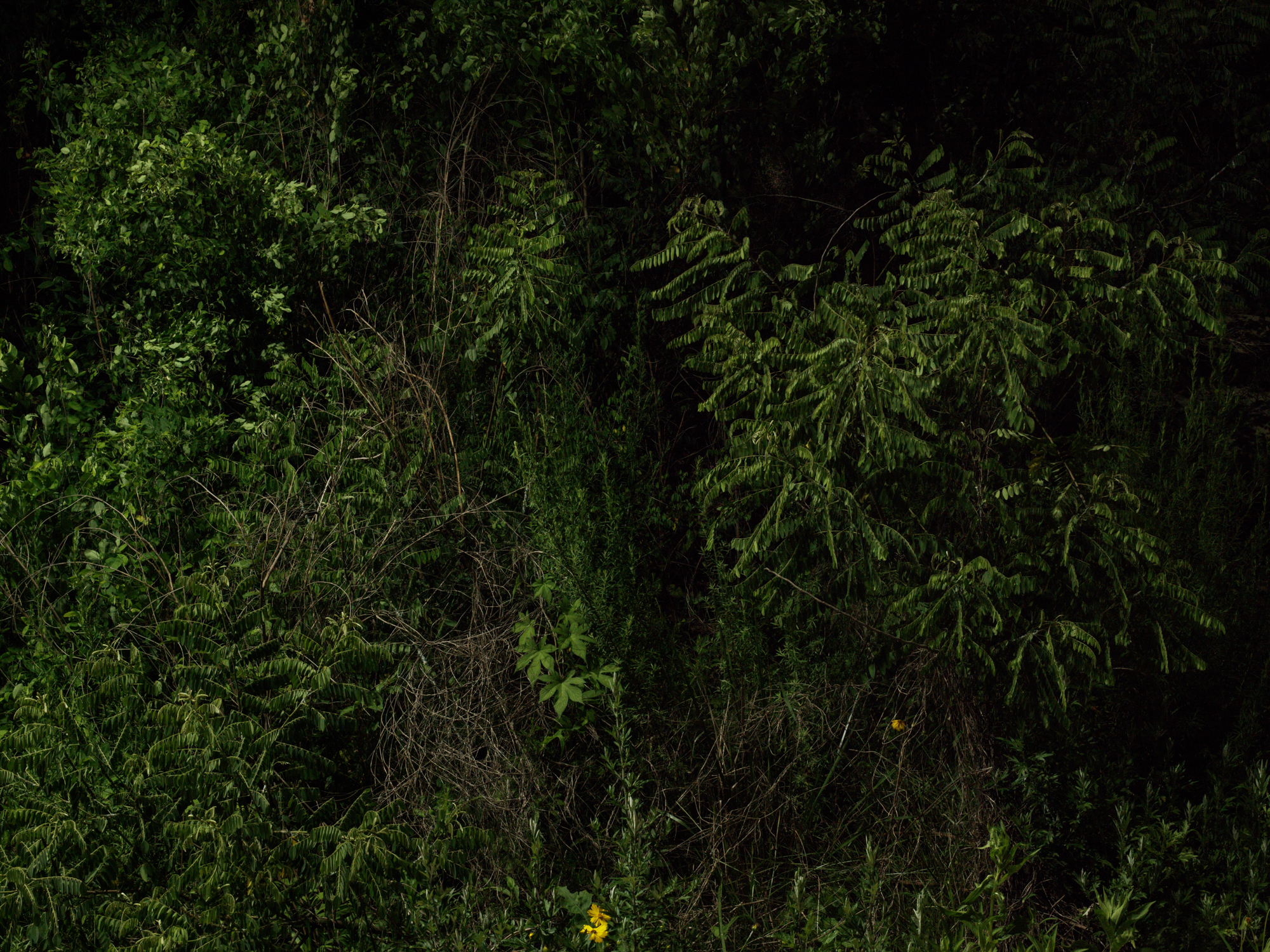 풍경- #10 pigment print 100x130 2017