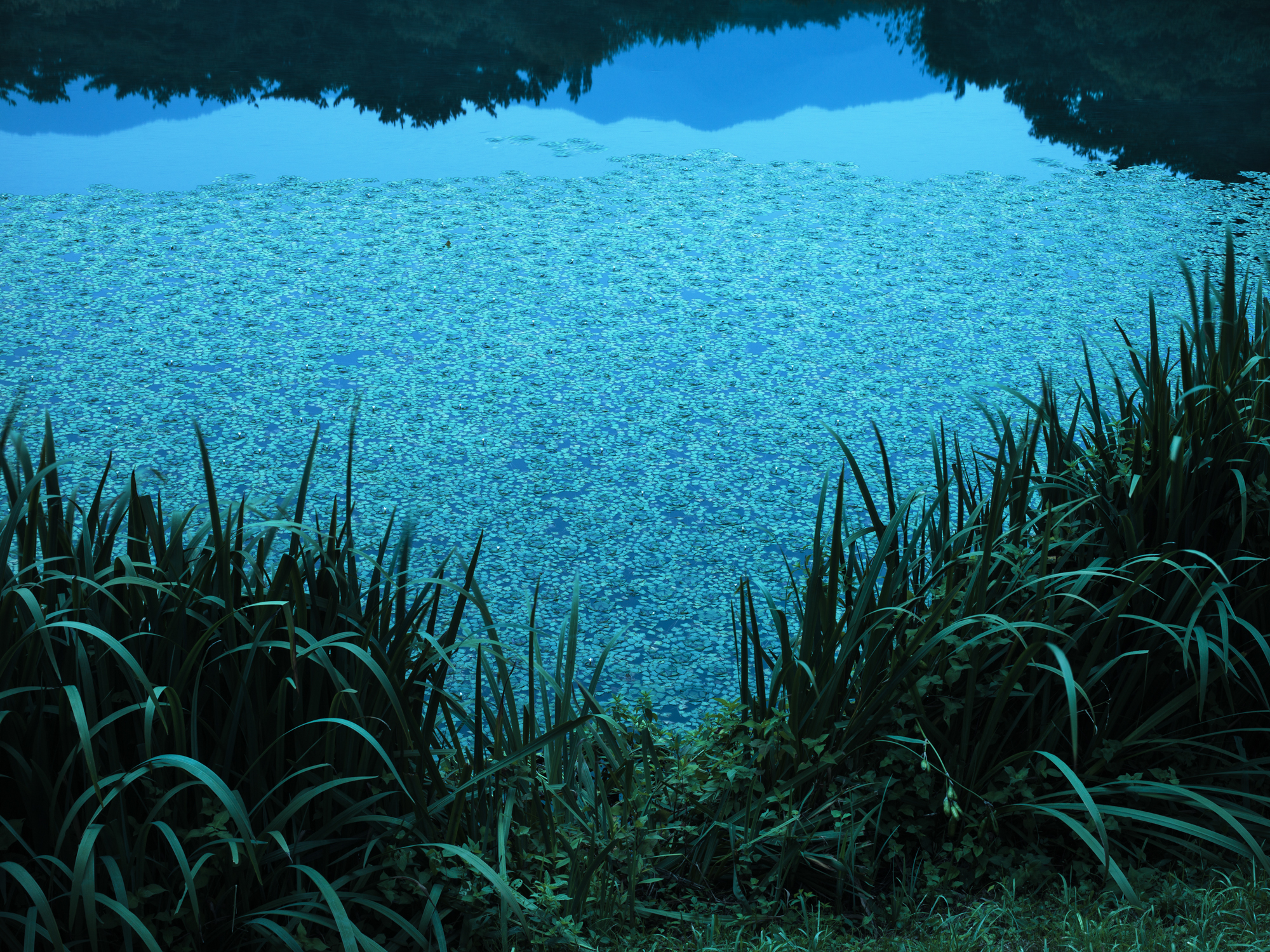 풍경- #11 pigment print 33x45 2017