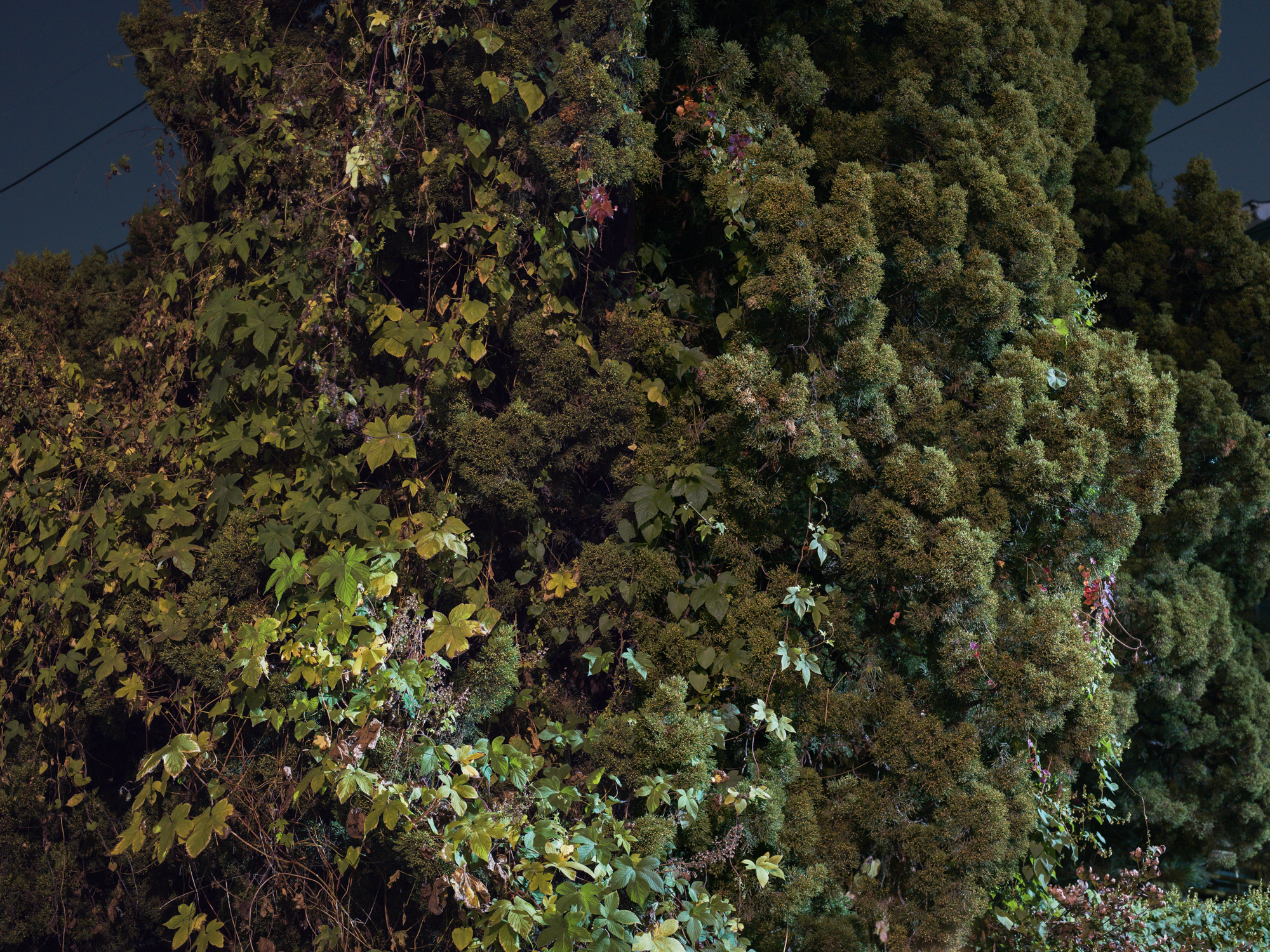 풍경- #19 pigment print 115x155 2017