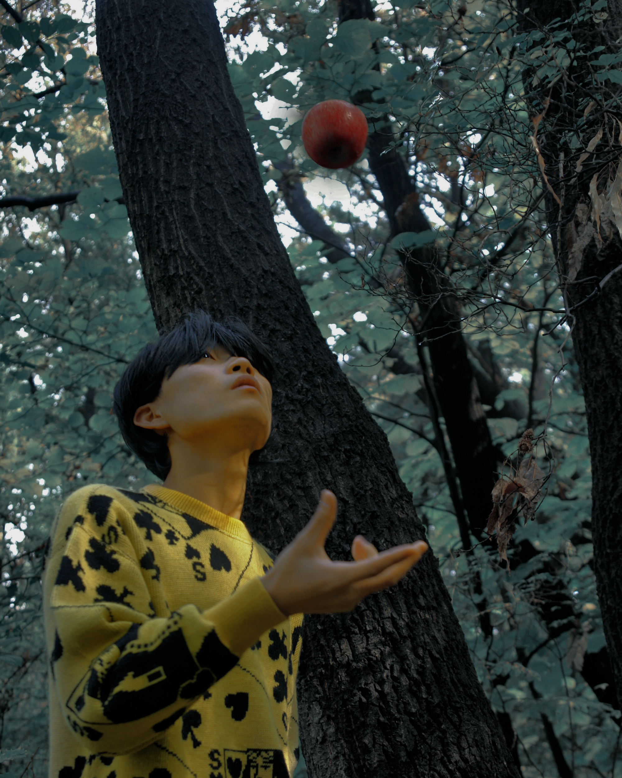 1. The Apple Tree,2018