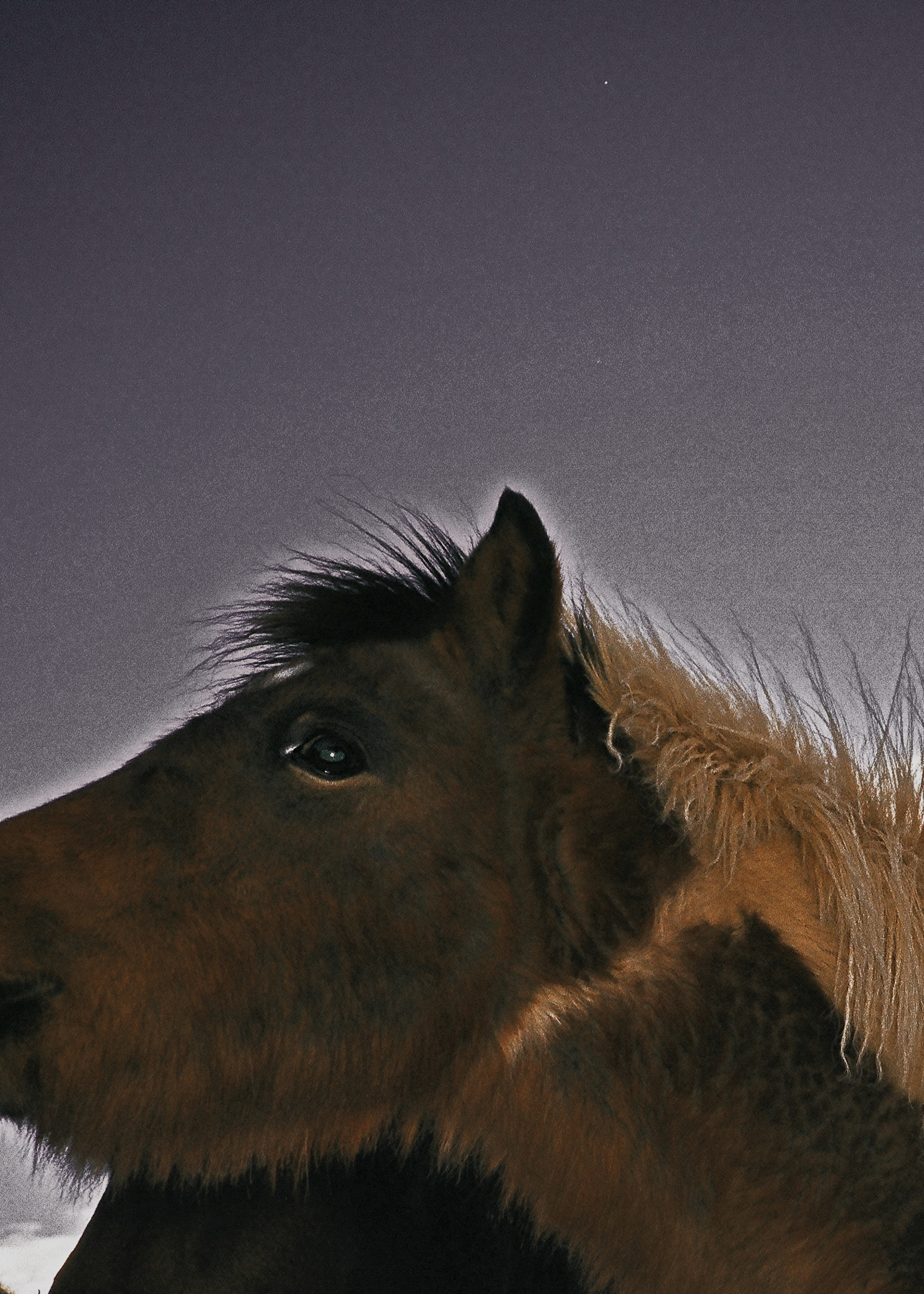 11. A Town Where Elves Live,2018