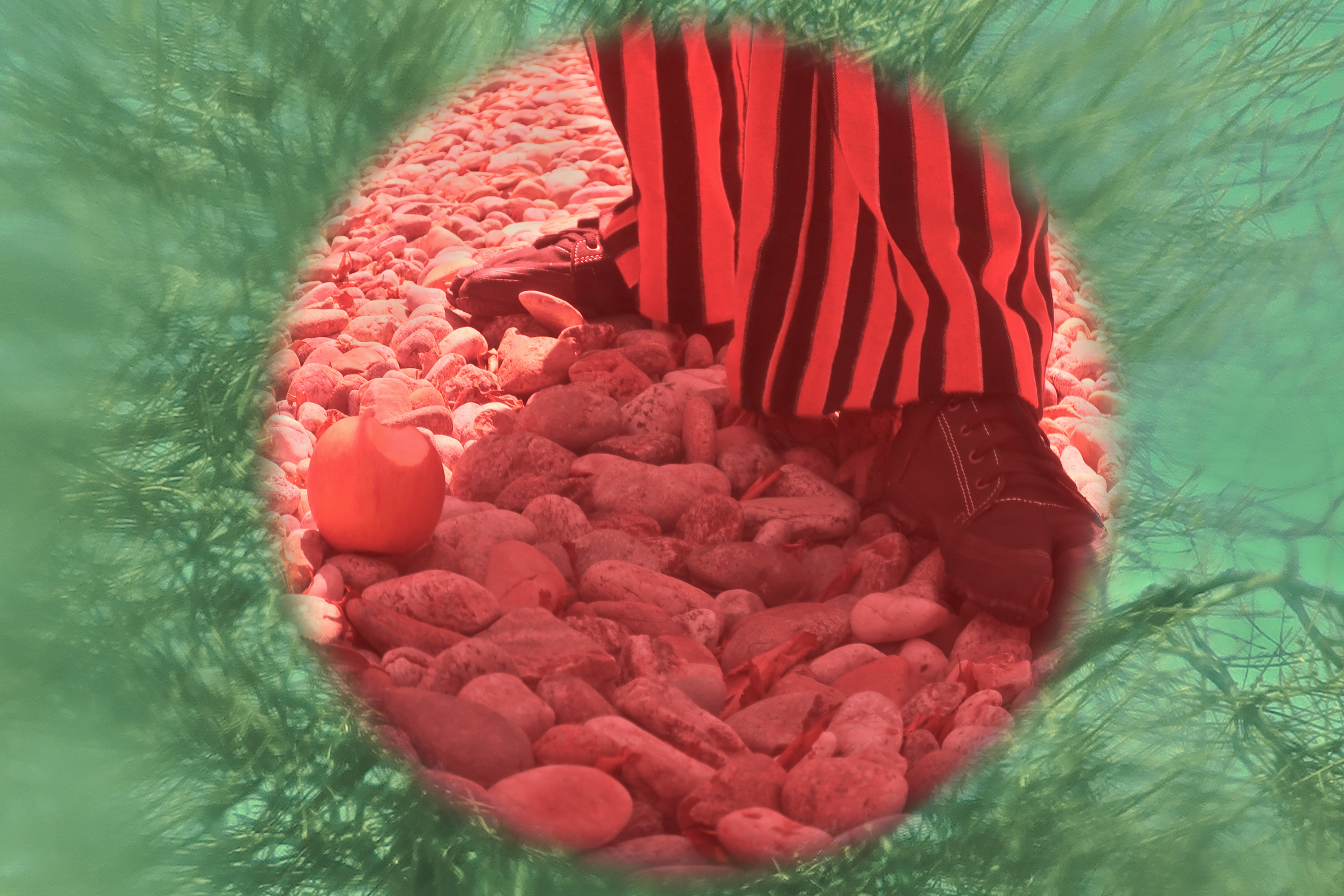 11. The door to the world opened, Third NPC,2019