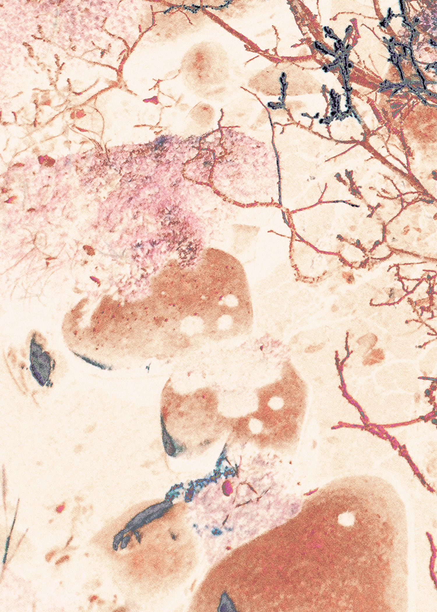 13. A Town Where Elves Live,2018