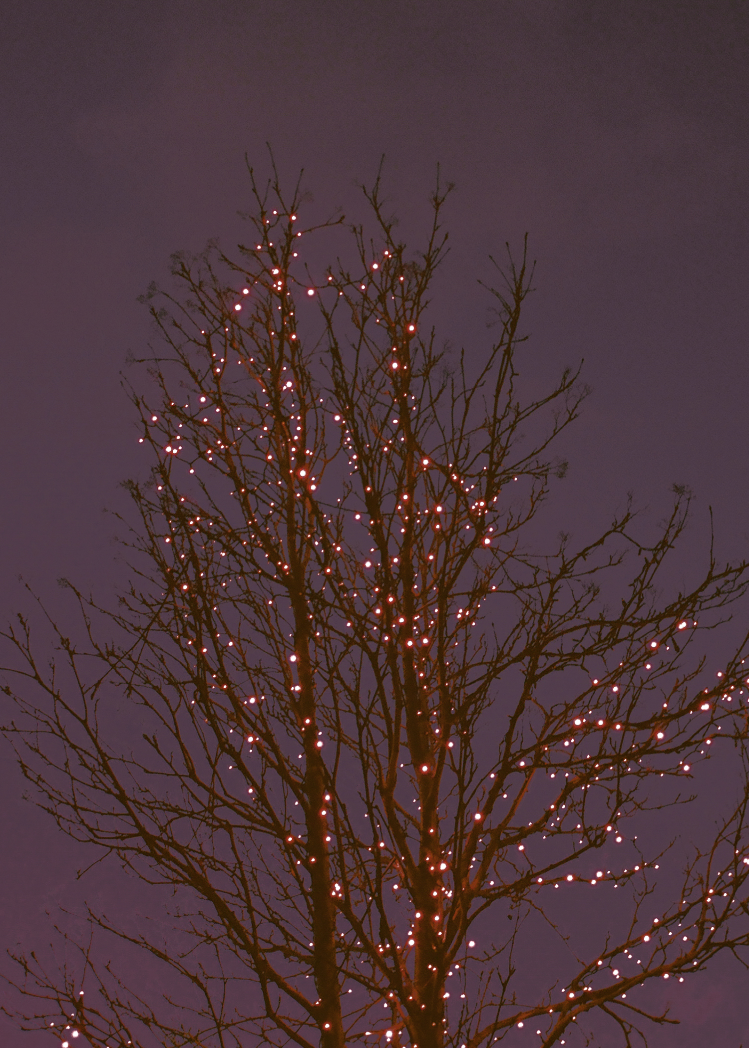 14. A Town Where Elves Live,2018