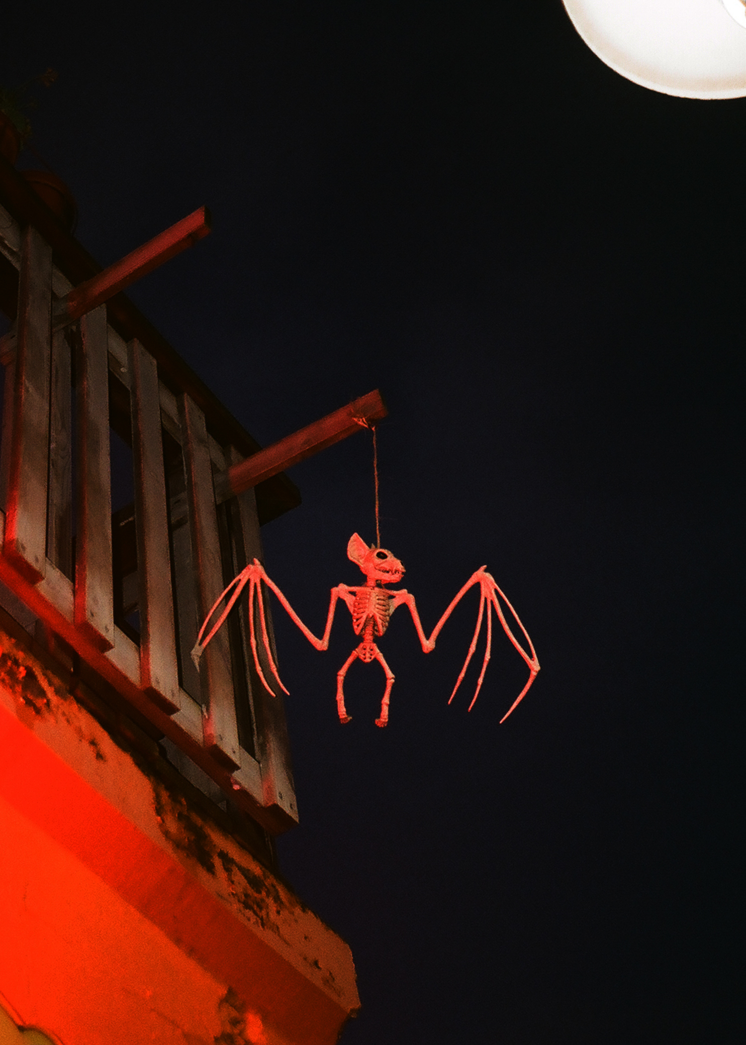 15. A Town Where Elves Live,2018