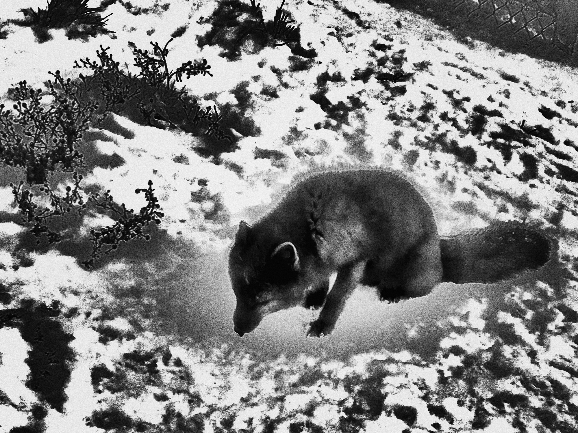 20. Black Magic,2018