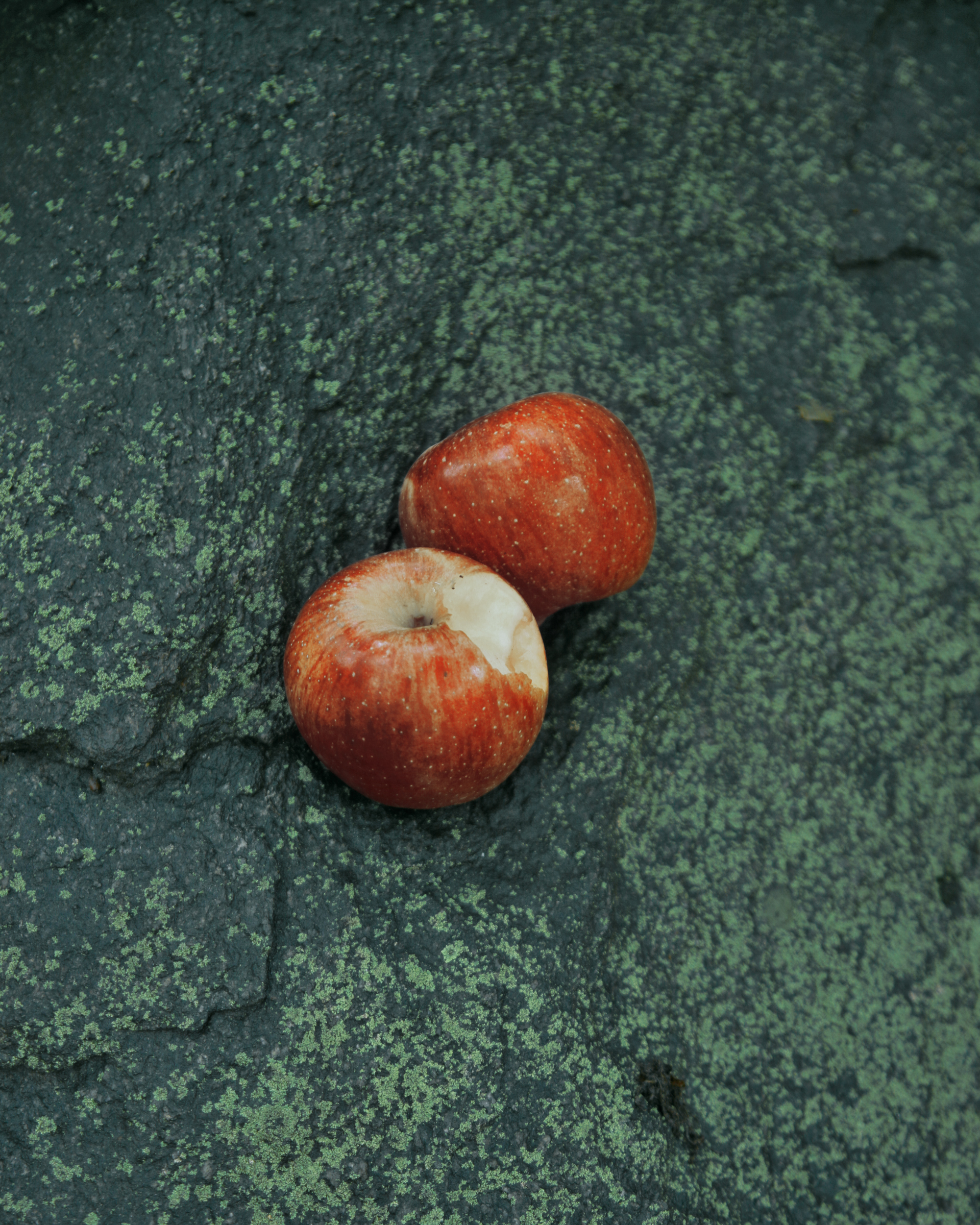 4. The Apple Tree,2018