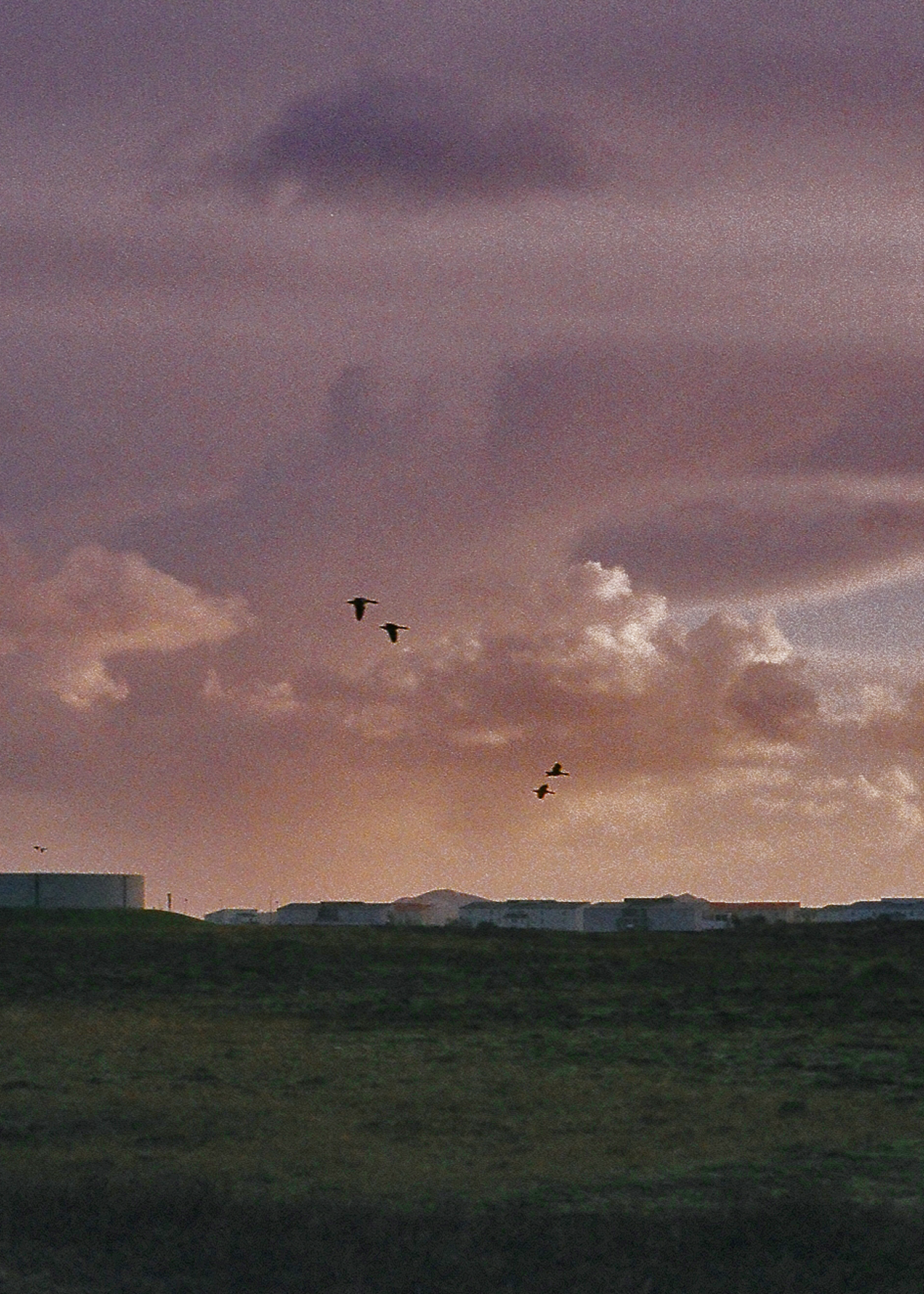 8. Another World Story,2018