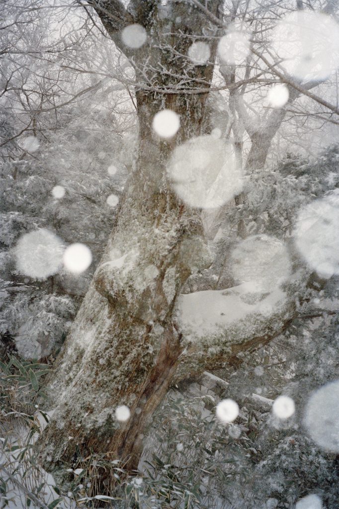 무제 (겨울) Untitled (Winter), 2017