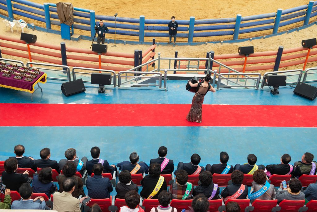 아리랑예술단 2017 - 청도 - 4766