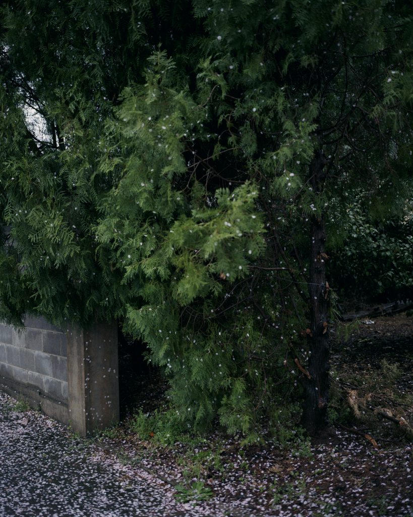 제주도 Jeju Island, 2016