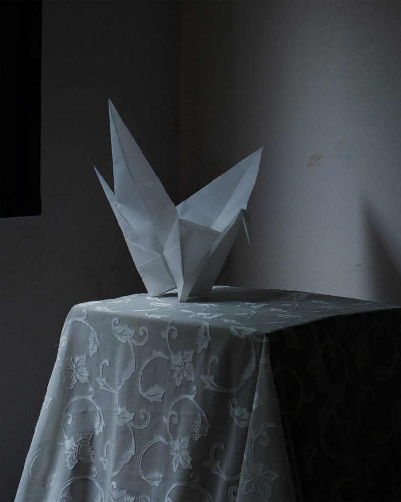 종이학 Foldedpaper bird, 2016