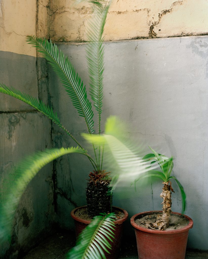 좌천아파트, 2012,  136